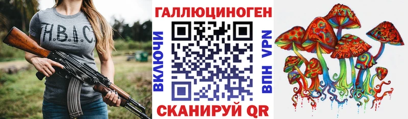 где найти наркотики  Лениногорск  МЕГА ссылки  Галлюциногенные грибы мицелий 